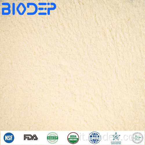 Potenziale bio-fertilizzante per il suolo e la pianta Azotobacter